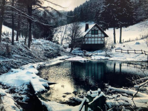 Holiday home in the countryside near Winterberg